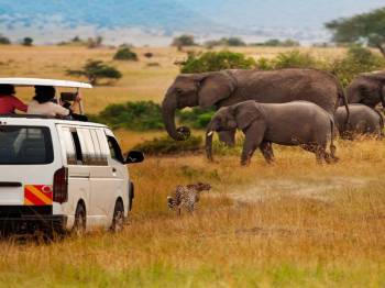 6 Nights 7 Days Kenya Epic Migration Safari Offers