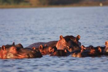 7 Nights 8 Days Magical Kenya Explorer