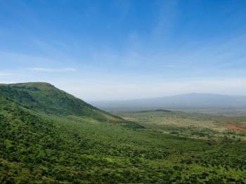 Masai Mara Tour Packages