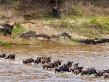 8 Nights 9 Days Kenya Safari & Beach Escape