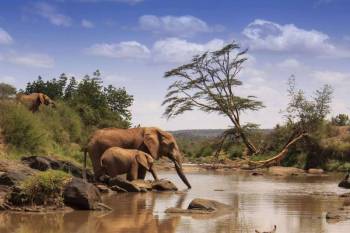Samburu Tour Packages