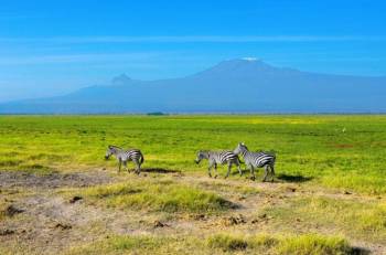 11D 10N Kenya And Tanzania Mid-Range Private Safari-Amboseli Tour