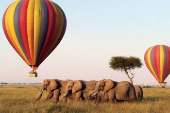 One Day Hot Air Balloon In Masai Mara Tour