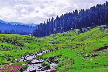 Budgam Tour Packages