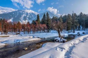 8 Day 7 Nights Kashmir Tour Package