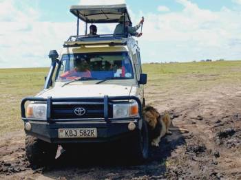 Daytrip to Lake Nakuru National Park