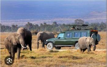 A Daytrip to Aberdares National Park