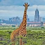 8 Days 7 Nights Best of Kenya