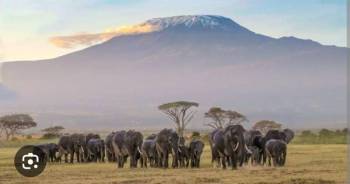 3 Days 2 Nights Amboseli Itinerary