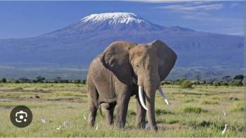 3 Days 2 Nights Amboseli Itinerary