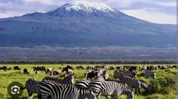 3 Days 2 Nights Amboseli Itinerary