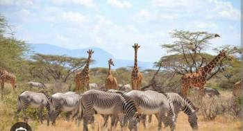 3 Days 2 Nights Samburu Itinerary By Air