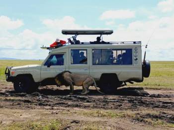 3 Days 2 Nights Masai Mara By Air