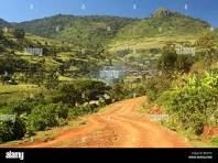 4 DAYS 3 NIGHTS MT ELGON KENYA SAFARI