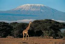 3 DAYS 2 NIGHTS AMBOSELI BY FLIGHT