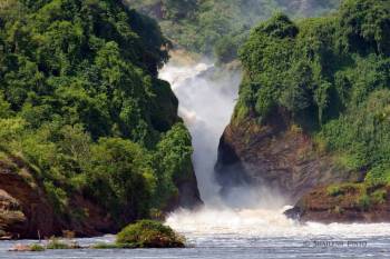 Queen Elizabeth National Park And Murchison Falls 6 Nights Tour