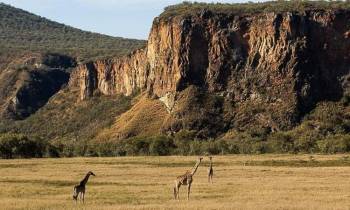 5D 4N Hells Gate - Nakuru - Maasai Mara - Nairobi Tour