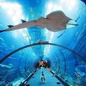 Awesome Dubai with one Night Abu Dhabi 5 Nights / 6 Days | 1 Countries / 2 Cities