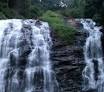 Short Break to Coorg and Mysore 3 Nights / 4 Days | 1 Countries / 2 Cities