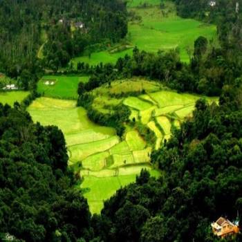 Glimpse Of South 6 Nights 7 Days Bangalore (1N)- Mysore (1N) - Coorg (2N) Ooty (2N)