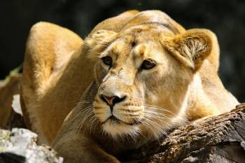 Arusha Tour Packages