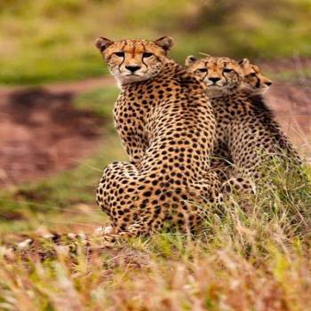 Arusha Tour Packages