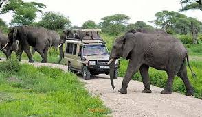 Tanzania - Zanzibar Safari - 9 Nights 10 Days Tour