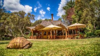 3 Days Safari CHUI Tour