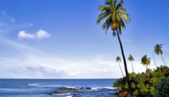 Andaman Package 6 Days - 5 Night