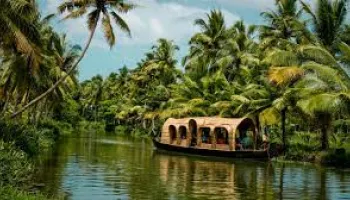 Thekkady Tour Packages