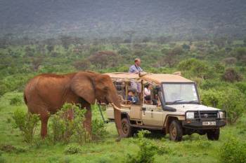 6 Days Samburu - Nakuru - Mara Tour