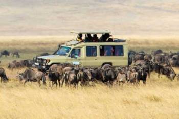 6 Days Ngorongoro - Serengeti - Manyara Tour