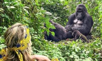 4 Days Bwindi Impenetrable Forest Tour