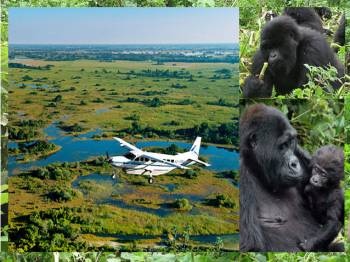 6 Days Bwindi - Queen Elizabeth Tour