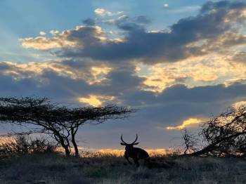 Amboseli 3 Days