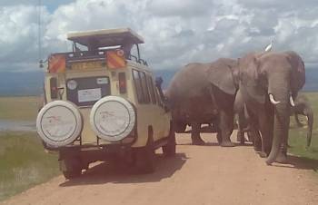 Amboseli 3 Days