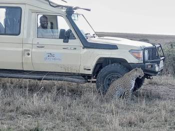 Amboseli 3 Days