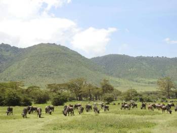 Northern Adventure In Tanzania 6N 7D Tour