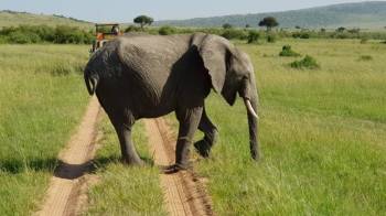 3 NIGHTS TO LAKE NAKURU & MAASAI MARA