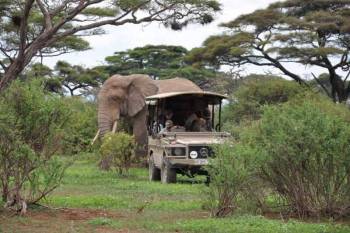Arusha National Park Day Safari Trip