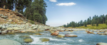 Budgam Tour Packages