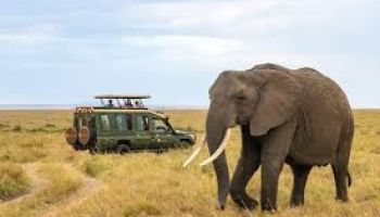 2 Nights 3 Days Amboseli Package