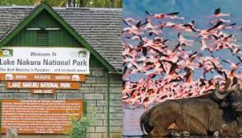 6 Days - 5 Nights Rift Valley Tour