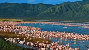 6 Days - 5 Nights Rift Valley Tour