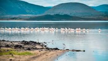 6 Days - 5 Nights Rift Valley Tour