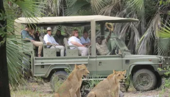 SELOUS NATIONAL PARK 2 DAYS 1 NIGHT FROM ZANZIBAR