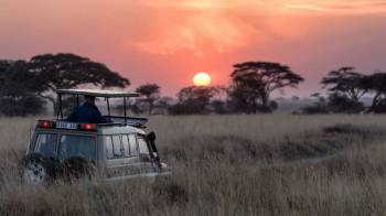 5 Days Luxury Safari