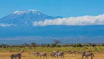 Kilimanjaro Mountain