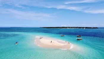 Safari Blue Zanzibar