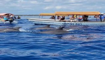 Pungume Island Zanzibar ( Dolphin + Snorkiling)